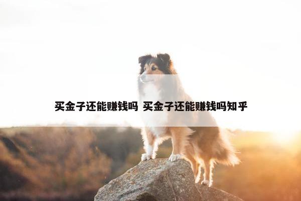 买金子还能赚钱吗 买金子还能赚钱吗知乎