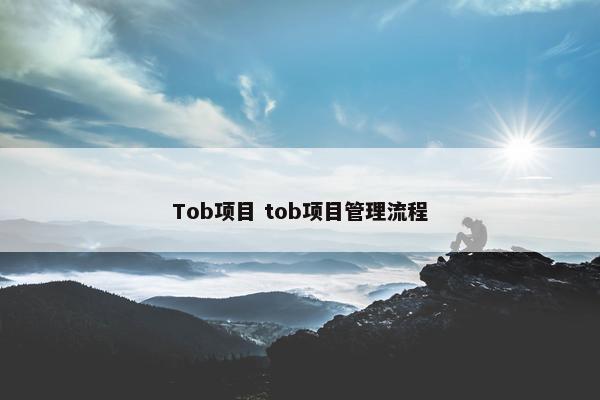 Tob项目 tob项目管理流程