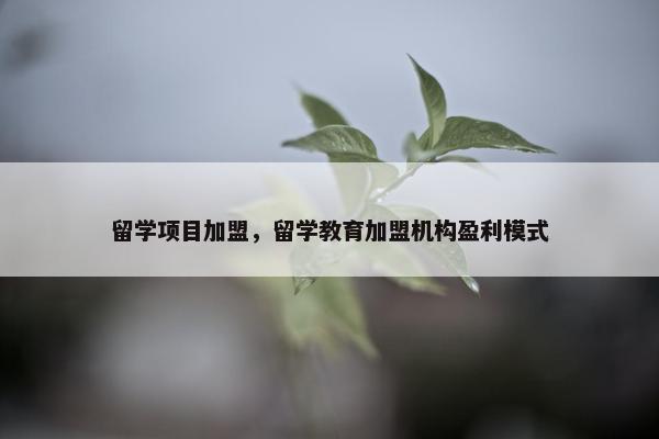 留学项目加盟，留学教育加盟机构盈利模式