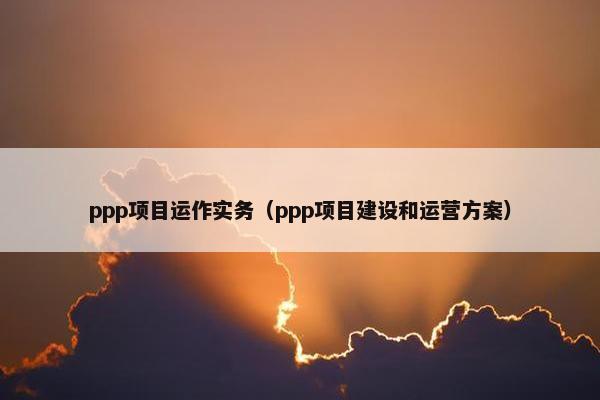 ppp项目运作实务（ppp项目建设和运营方案）
