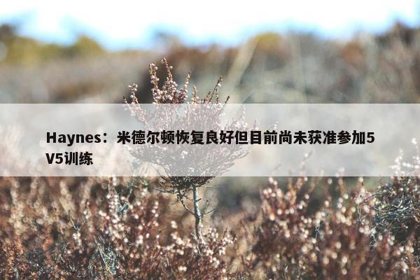 Haynes：米德尔顿恢复良好但目前尚未获准参加5V5训练