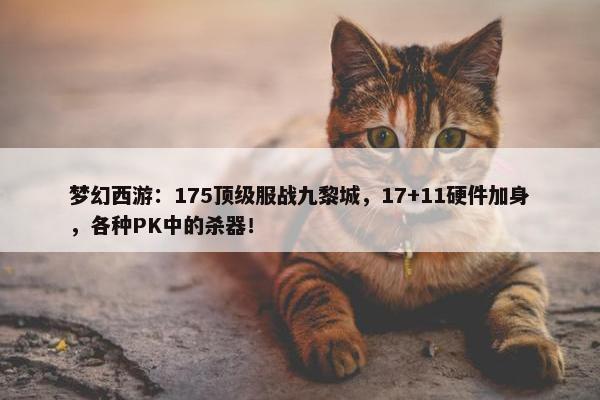 梦幻西游：175顶级服战九黎城，17+11硬件加身，各种PK中的杀器！