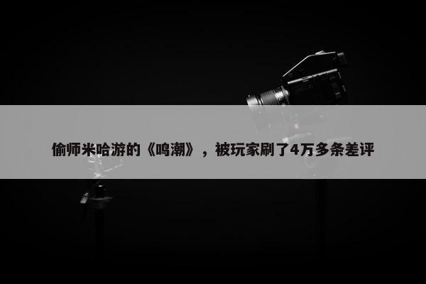 偷师米哈游的《鸣潮》，被玩家刷了4万多条差评