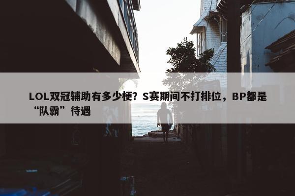 LOL双冠辅助有多少梗？S赛期间不打排位，BP都是“队霸”待遇