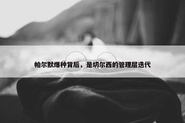 帕尔默爆种背后，是切尔西的管理层迭代