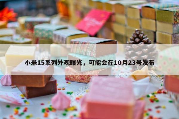 小米15系列外观曝光，可能会在10月23号发布