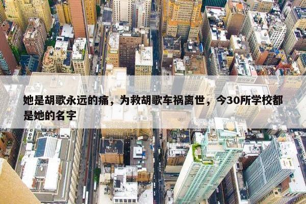 她是胡歌永远的痛，为救胡歌车祸离世，今30所学校都是她的名字