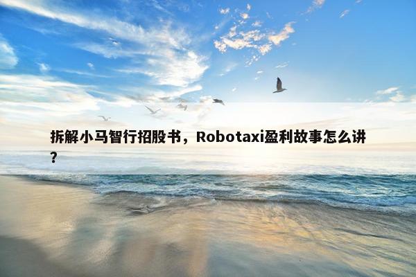 拆解小马智行招股书，Robotaxi盈利故事怎么讲？