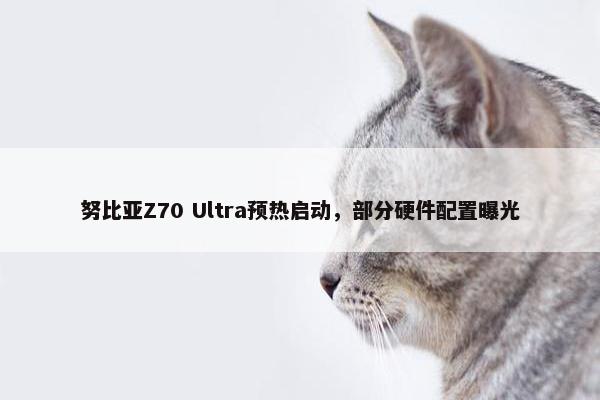 努比亚Z70 Ultra预热启动，部分硬件配置曝光