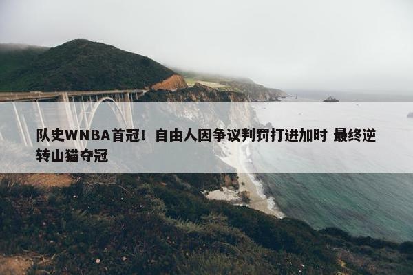 队史WNBA首冠！自由人因争议判罚打进加时 最终逆转山猫夺冠