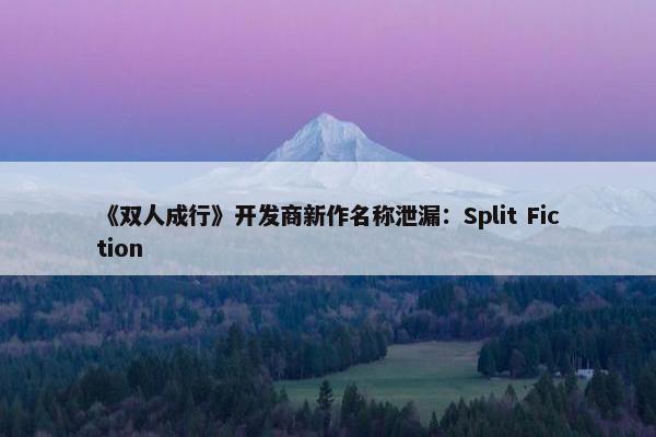 《双人成行》开发商新作名称泄漏：Split Fiction